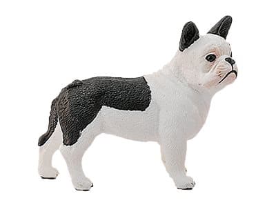 Schleich-13877 FranzoesischeBulldogge NEU OVP